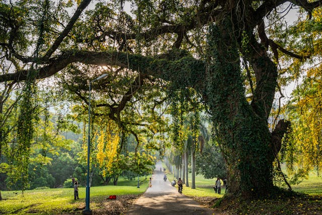 Peradeniya
